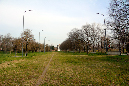 _MG_0022bis