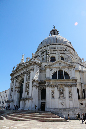 _MG_0439