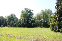 _MG_0064