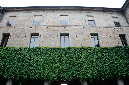 _MG_1058p