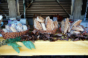 %20_MG_0067
