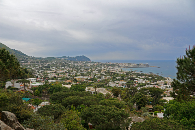 _MG_0531