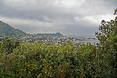 _MG_0575
