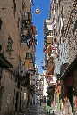 _MG_0775