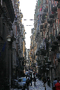 _MG_0790