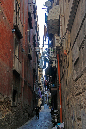 _MG_0792