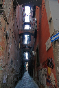 _MG_0793