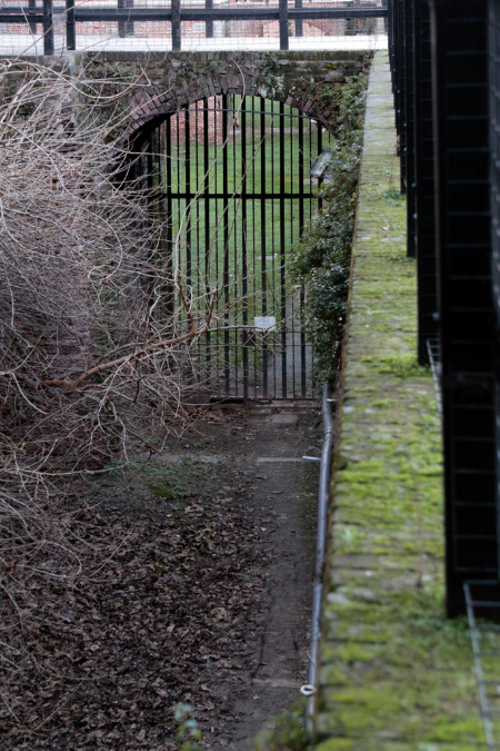 _MG_0207p