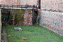 _MG_0196