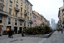 _MG_0105