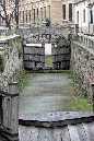 _MG_0036d
