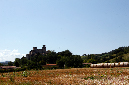 _MG_0080x
