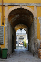 _MG_0036p