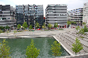 _2MG_0485