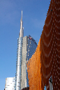 _MG_0306