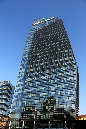 _MG_0063