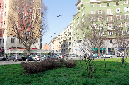 _MG_0061