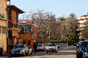 _MG_0051