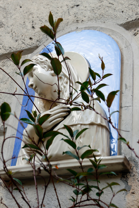 _MG_0124p