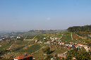 _3MG_0461