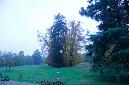 _MG_0977