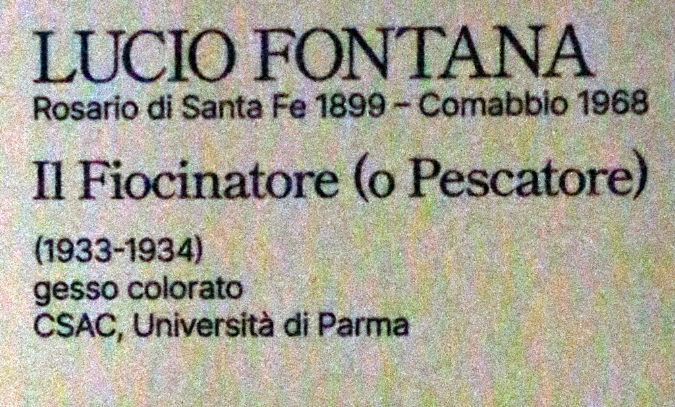 _1MG_0025Fiocinatore