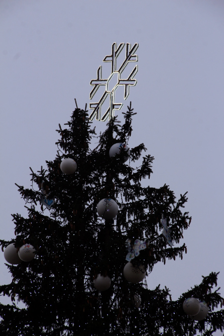 _MG_0015