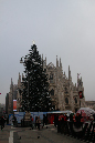 _4MG_0023