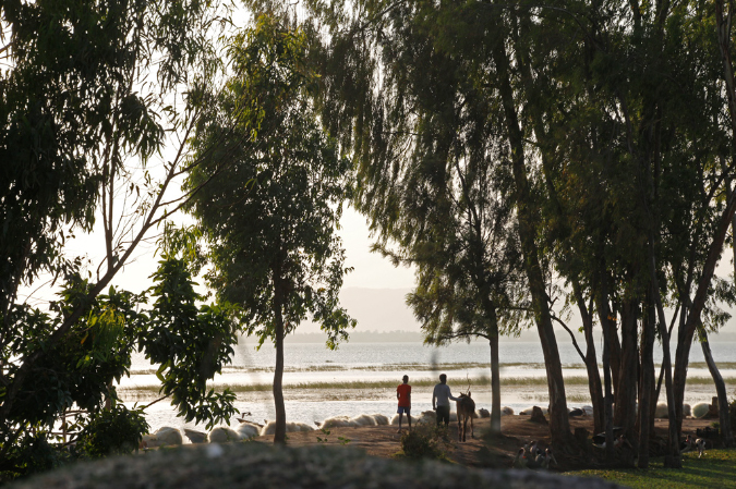 _MG_0130r