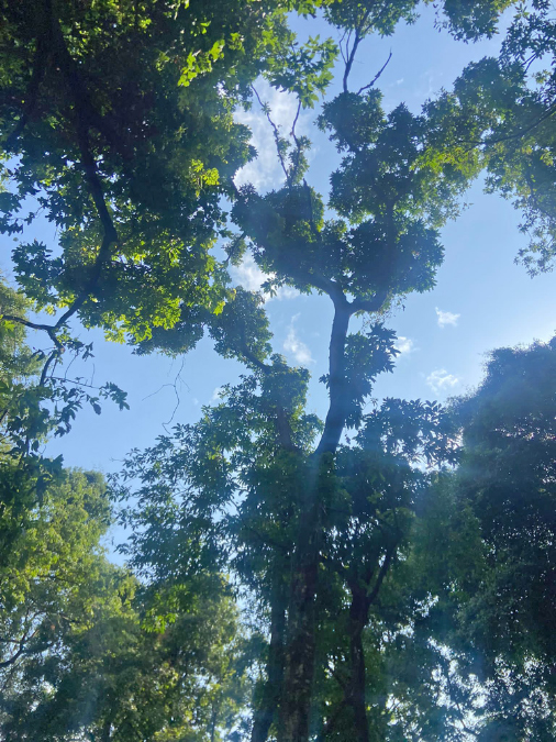 IMG-20250129-WA00200p