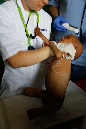 _MG_0659