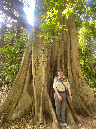 IMG-20250129-WA0044