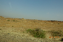 _DSC4656