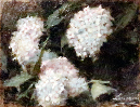 _MG_0036b