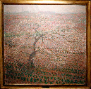 _MG_0052b
