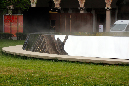 _MG_0039