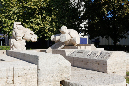 _MG_0018