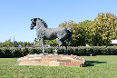_MG_0019