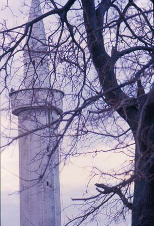 Minareto%20tra%20rami