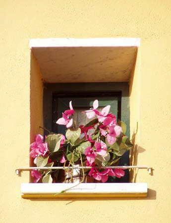 P1050034