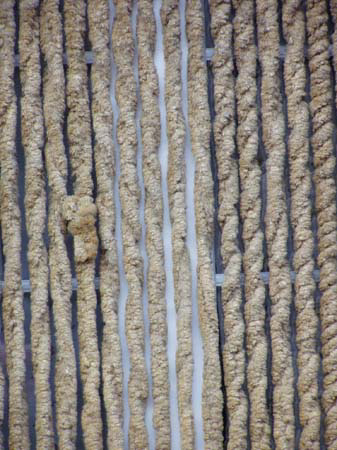 P1050036