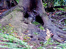 P5260012