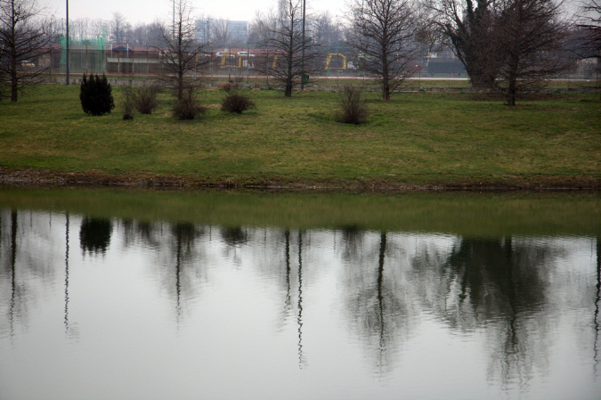 IMG_8558x