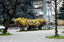 _MG_0004