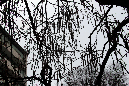 _MG_0015t