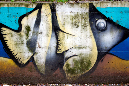 _MG_0060