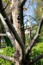 _MG_0084