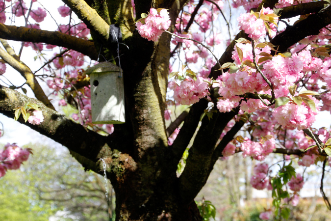 _MG_0024