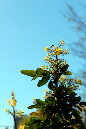 _MG_0063