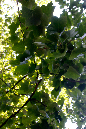 _MG_0019